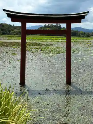 薦神社(大分県)