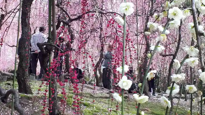 城南宮(京都府)