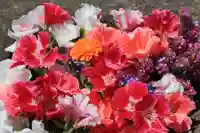 熊野福藏神社の手水舎