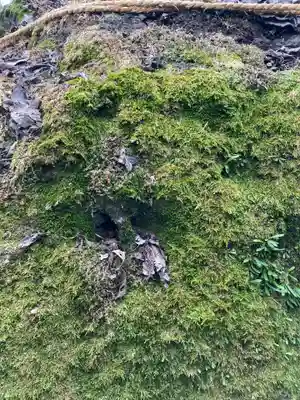 八幡神社(群馬県)