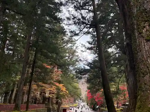 日光東照宮(栃木県)