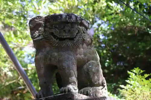 楯和気神社の狛犬