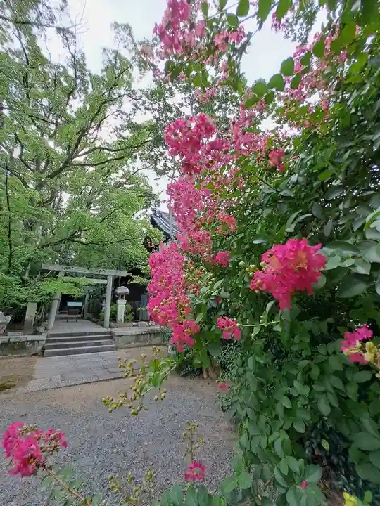 桑名宗社(春日神社)(三重県)