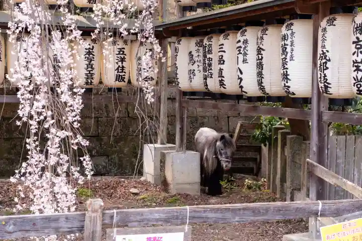 大石神社(京都府)