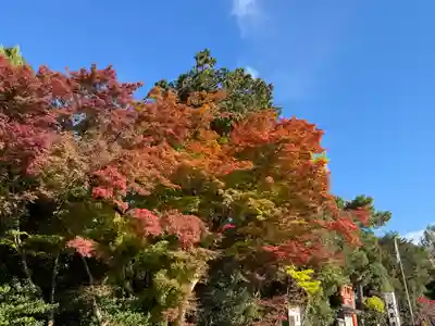 賀茂別雷神社（上賀茂神社）(京都府)