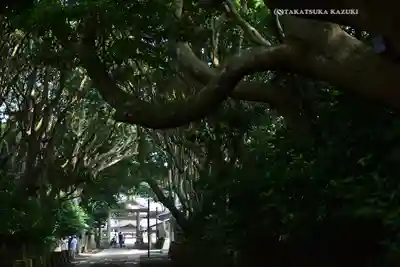 酒列磯前神社(茨城県)