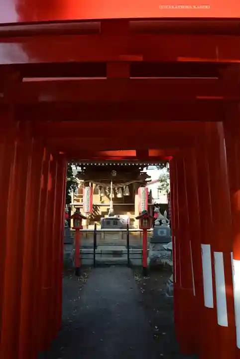 相模原氷川神社(神奈川県)