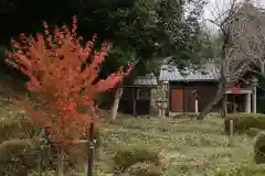 日枝神社（新旭町安井川）(滋賀県)