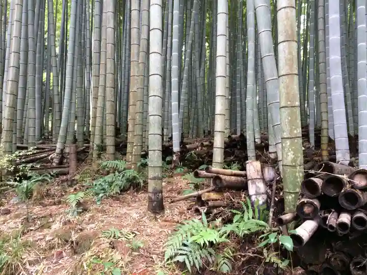 武雄神社(佐賀県)