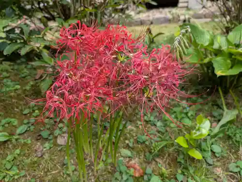 三春大神宮(福島県)