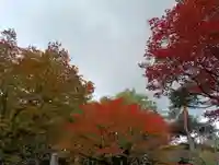 鷹栖神社(北海道)