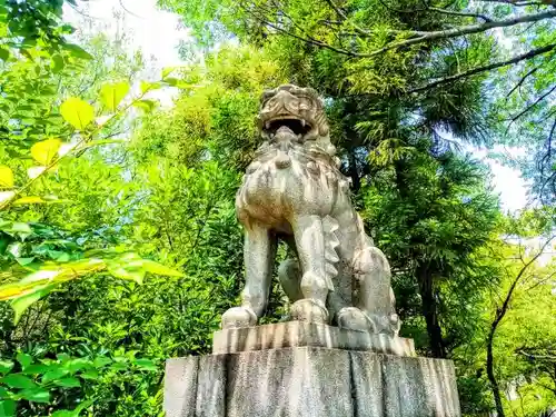 市原稲荷神社の狛犬