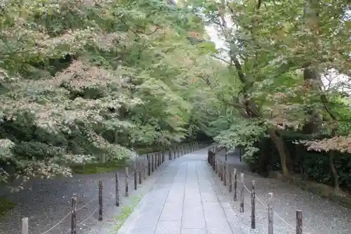 光明寺（粟生光明寺）の自然