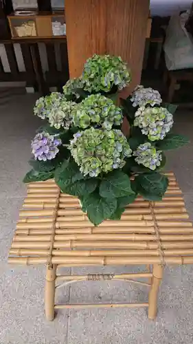 阿佐ヶ谷神明宮のその他建物