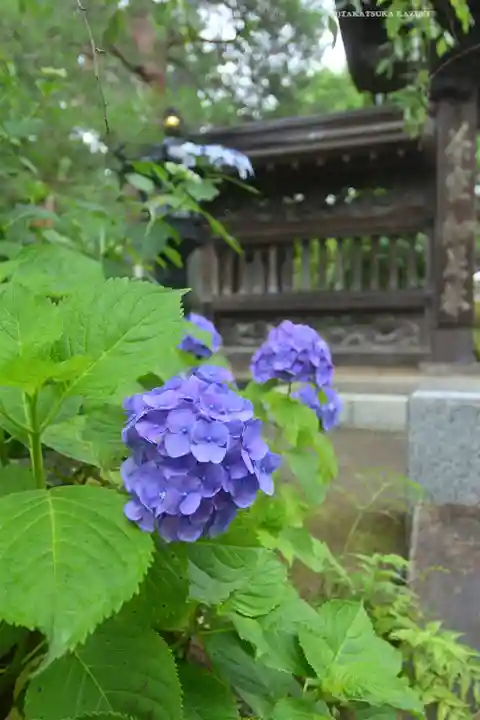 高幡不動尊 金剛寺(東京都)