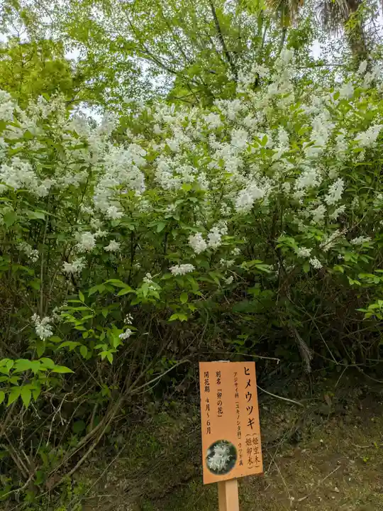 長谷寺(奈良県)