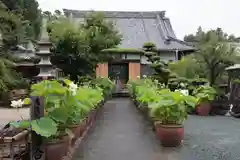 香勝寺(静岡県)