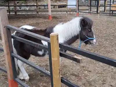平塚八幡宮(神奈川県)