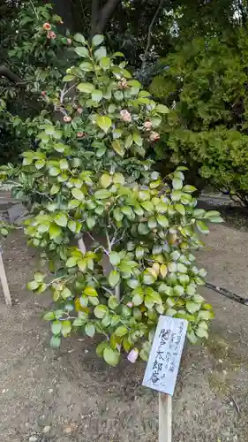 城南宮(京都府)