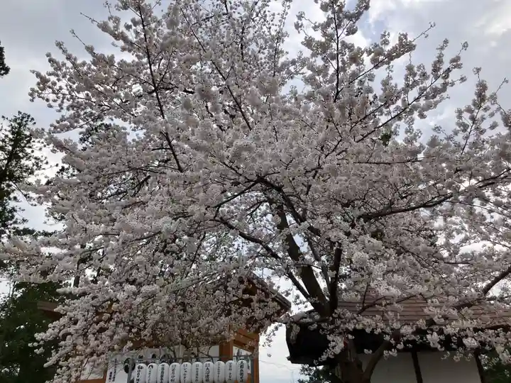 寒河江八幡宮(山形県)