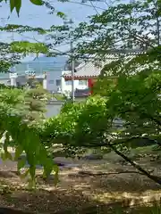 野々上八幡神社の自然