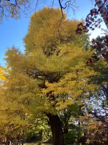 淨眞寺(東京都)