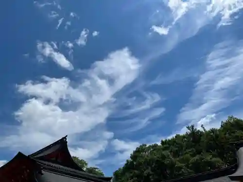 近江神宮の自然