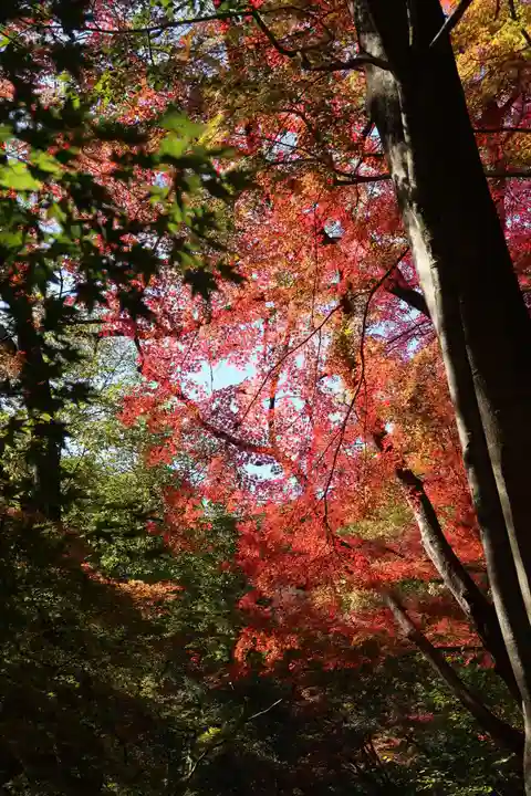 神應寺(京都府)