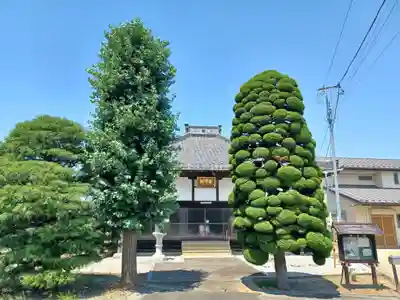 東光院(埼玉県)