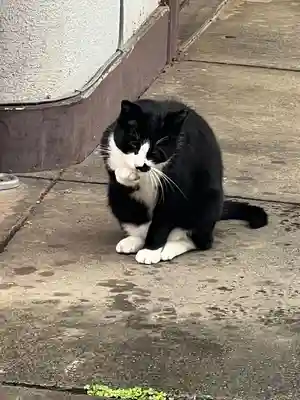 唐澤山神社(栃木県)