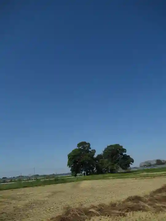 神明神社(千葉県)
