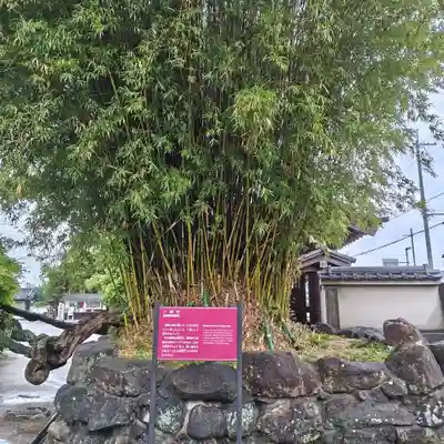 達磨寺(奈良県)