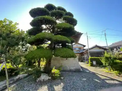 願成寺(滋賀県)