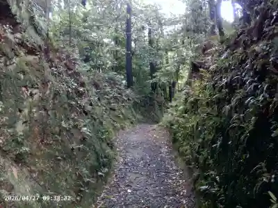 伊太祁曽神社の{uncategorized: "未分類", other: "その他", undefined: "問題あり", building: "その他建物", grave: "お墓", sacred_gate: "鳥居", guardian: "狛犬", statue: "像", buddha: "仏像", history: "歴史", nature: "自然", garden: "庭園", animal: "動物", pagoda: "塔", temizu: "手水舎", mountain_gate: "山門・神門", sanctuary: "本殿・本堂", subordinate: "末社・摂社", art: "芸術", scenery: "景色", jizo: "地蔵", ema: "絵馬", goshuin: "御朱印", omikuji: "おみくじ", items: "授与品その他", amulet: "お守り", goshuincho: "御朱印帳", eats: "食事", festival: "お祭り", votive_dance: "神楽", shichigosan: "七五三参", wedding: "結婚式", experience: "体験その他", initially: "初詣", around: "周辺", anti_infection: "感染症対策"}