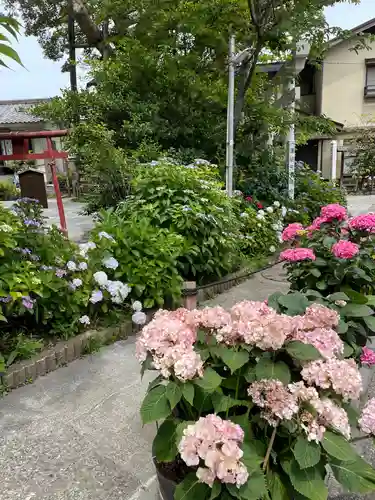 御霊神社の自然