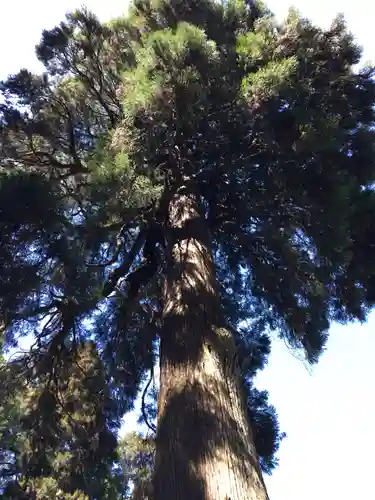 狭野神社の自然