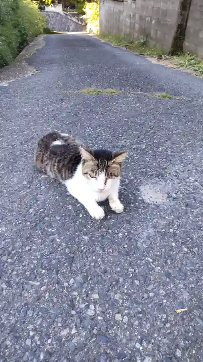 浄瑠璃寺(京都府)