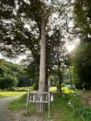 諏訪大社上社前宮(長野県)