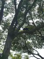 宗像大社(福岡県)