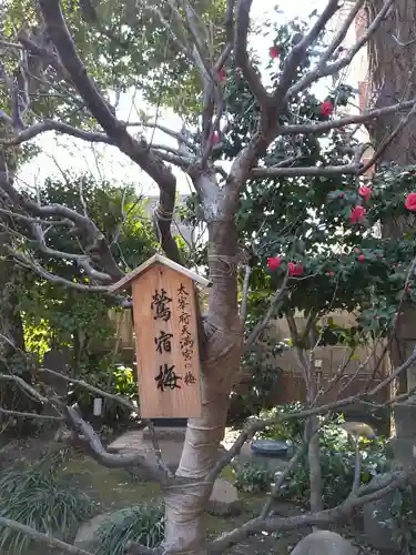 小野照崎神社(東京都)