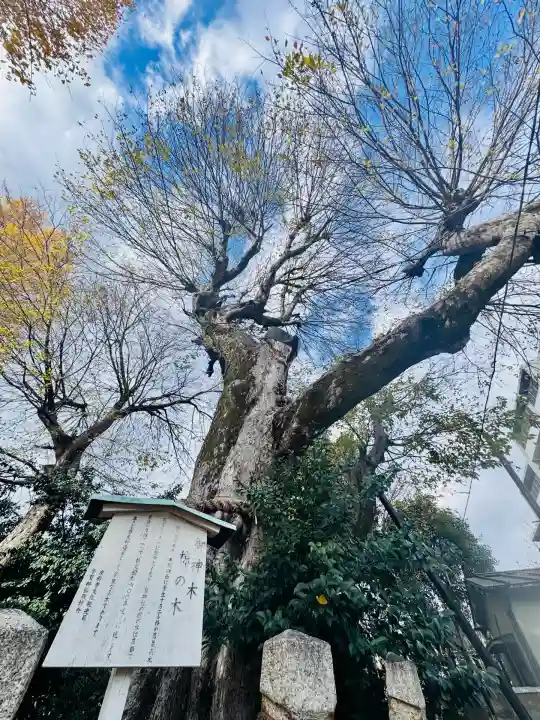 宇賀神社(京都府)