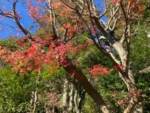 杉本寺(神奈川県)