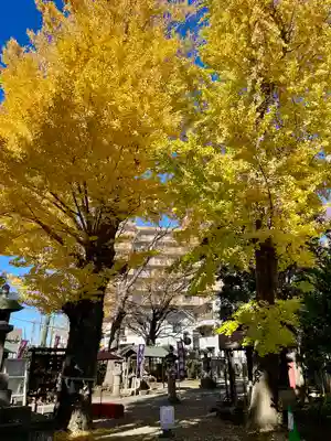 取手八坂神社(茨城県)