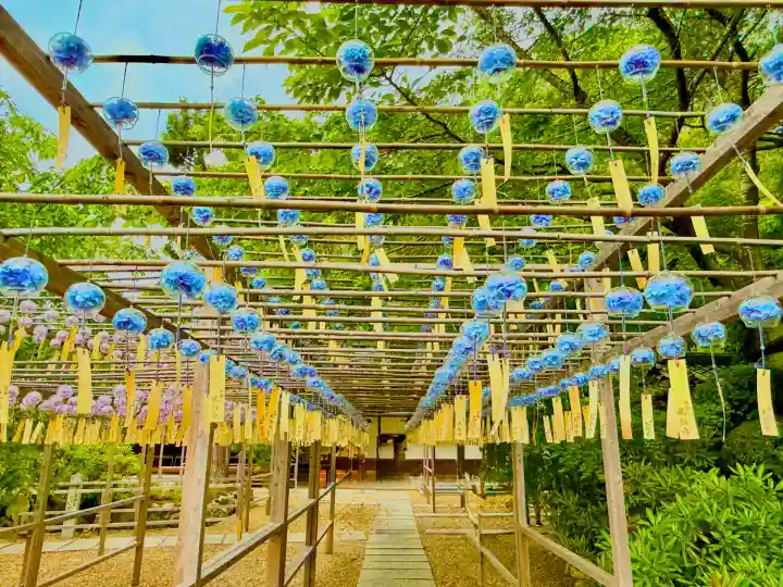 正寿院(京都府)