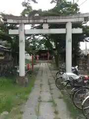 伊奈利神社の鳥居