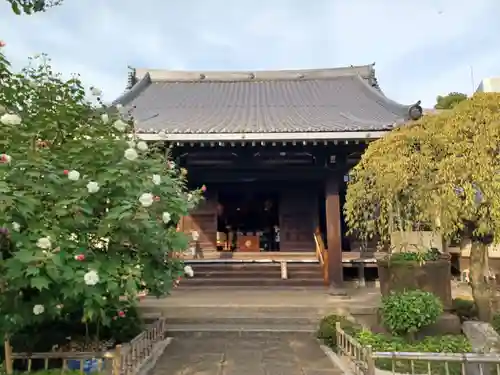 高徳寺(東京都)