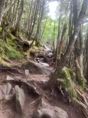 日光二荒山神社奥宮(栃木県)