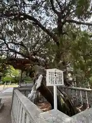 高砂神社の建物その他