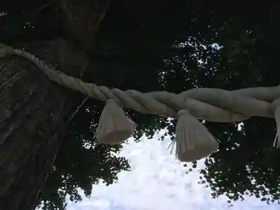 亀ケ池八幡宮のその他建物