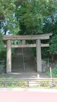 上野東照宮の鳥居